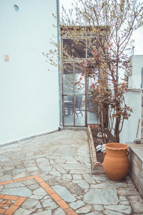 Violetta'S House Παραδοσιακή Βίλα Στην Πορταριά 外观 照片