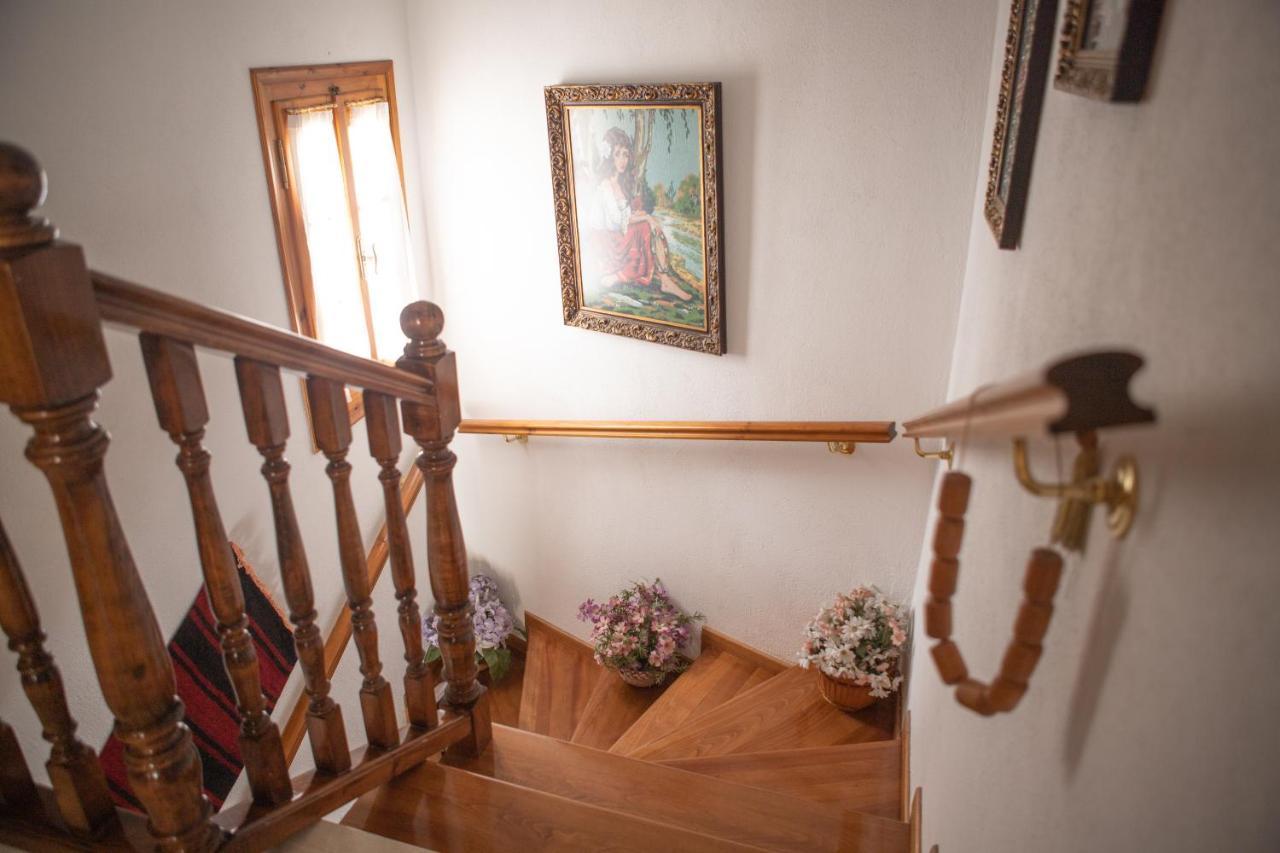 Violetta'S House Παραδοσιακή Βίλα Στην Πορταριά 外观 照片